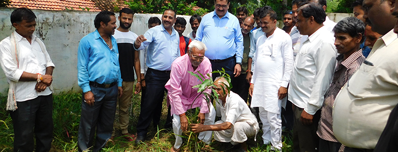 Community tree plantation drive organized by Prism Cement under CSR environmental sustainability program