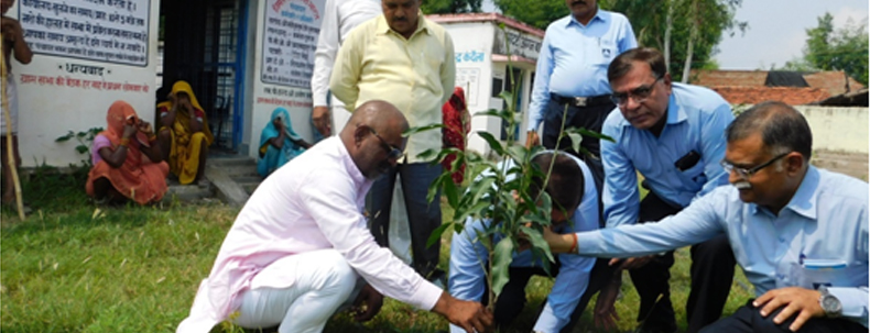 Community members and officials participating in a tree plantation