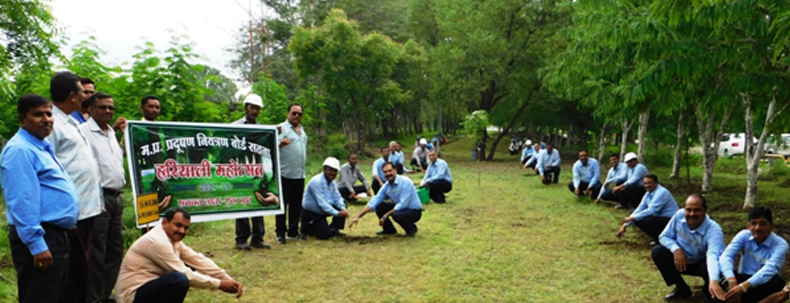 Group of employees participating in tree plantation event